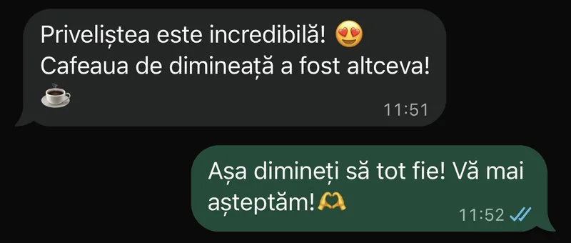 Mesaj de la un oaspete (WhatsApp, anonimizat)