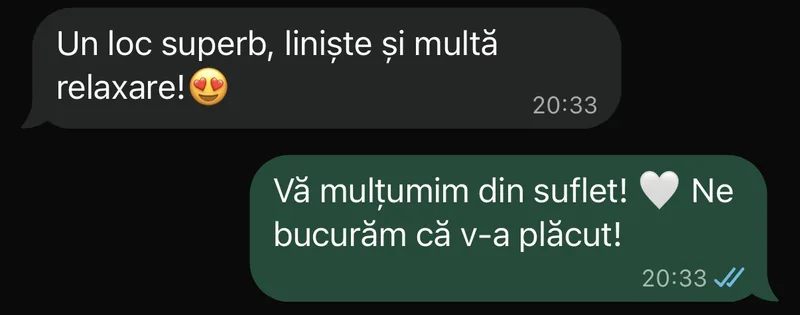 Mesaj de la un oaspete (WhatsApp, anonimizat)