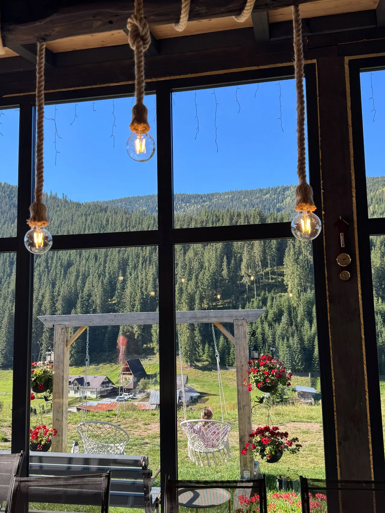 Vedere panoramică de la chalet spre vale și pădure
